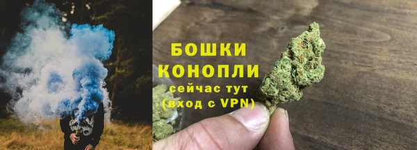 трава Аркадак