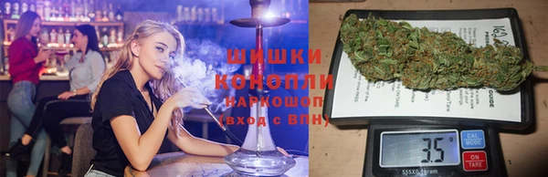 трава Аркадак