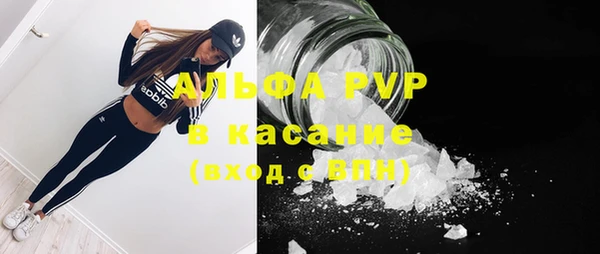 трава Аркадак