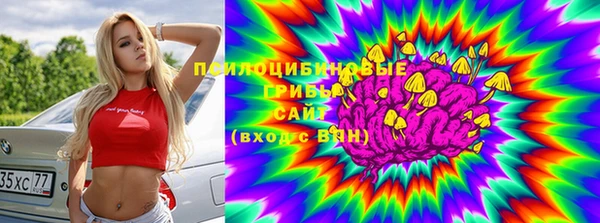 прущий лед Арсеньев