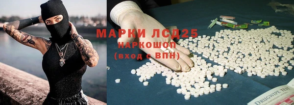 трава Аркадак