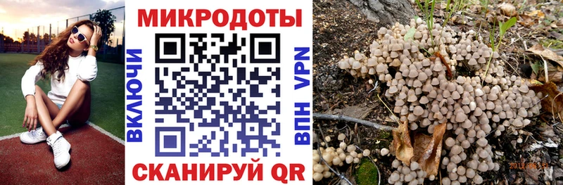 Псилоцибиновые грибы Psilocybine cubensis  Обоянь 